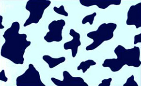 Struktur der Polyblends